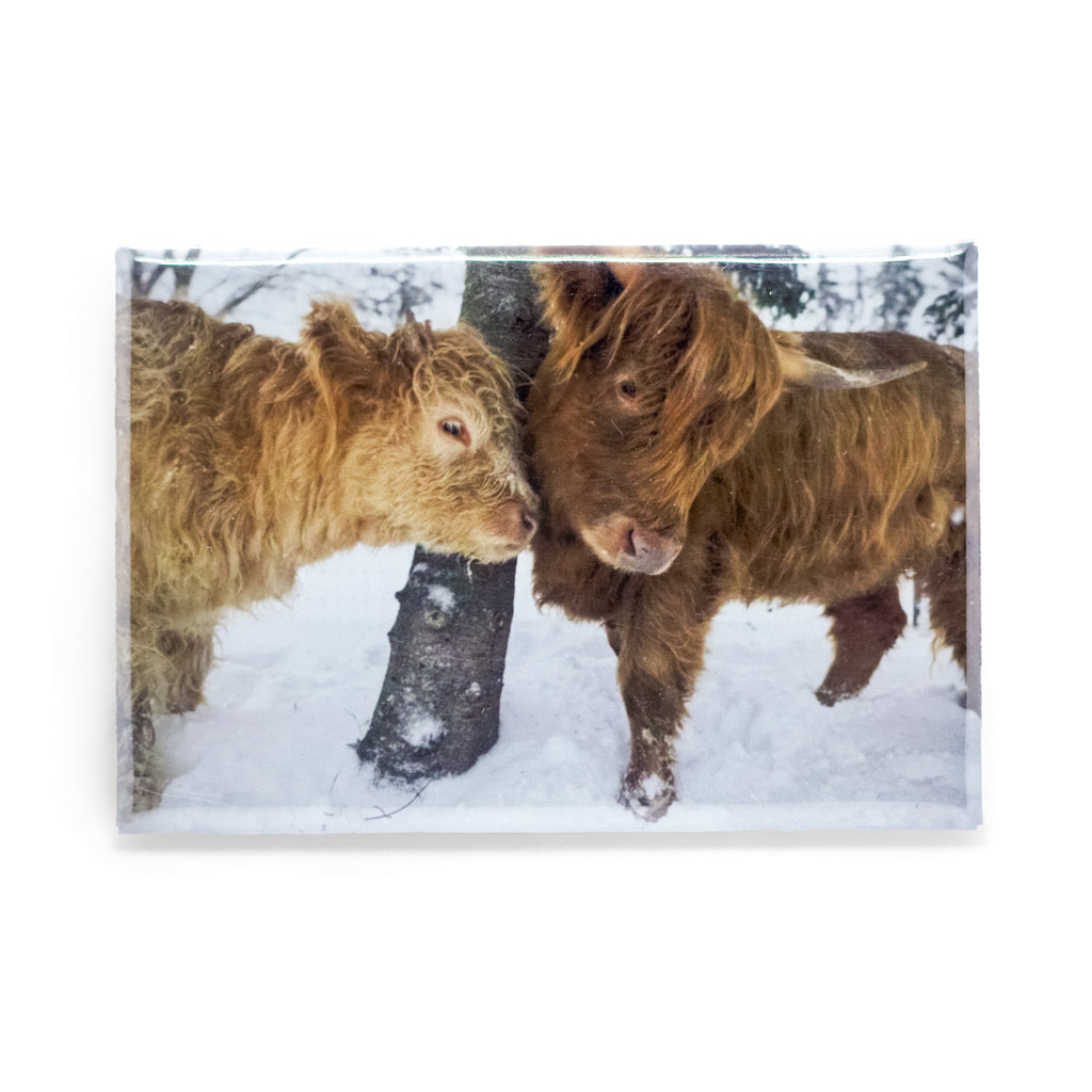 2” x 3” Photo Magnets (Rectangle)