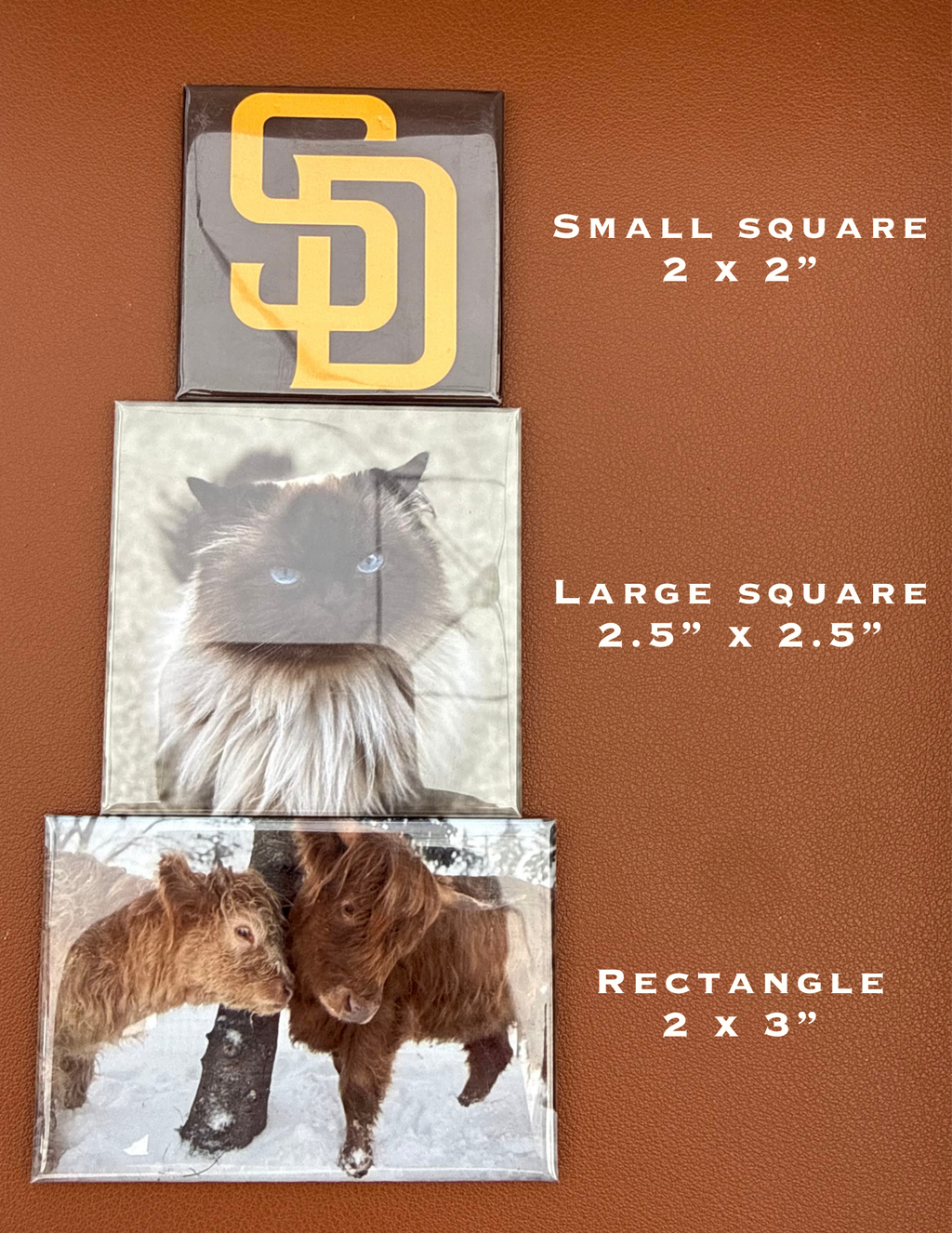 2” x 3” Photo Magnets (Rectangle)